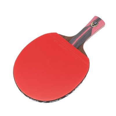 Schläger Tischtennisschläger 6 Star Spin Control Holz+Gummi Langer Griff