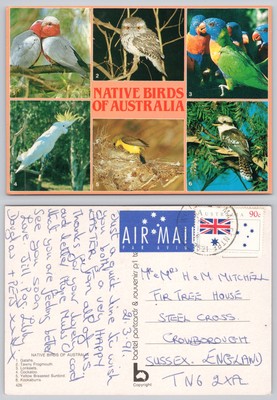 c29686 Heimische Vögel Australien Postkarte 1989 Briefmarke