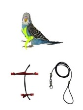 Cocorite Elastic Attachments Plastic Detachable Comfortable Neck Parrot Harness