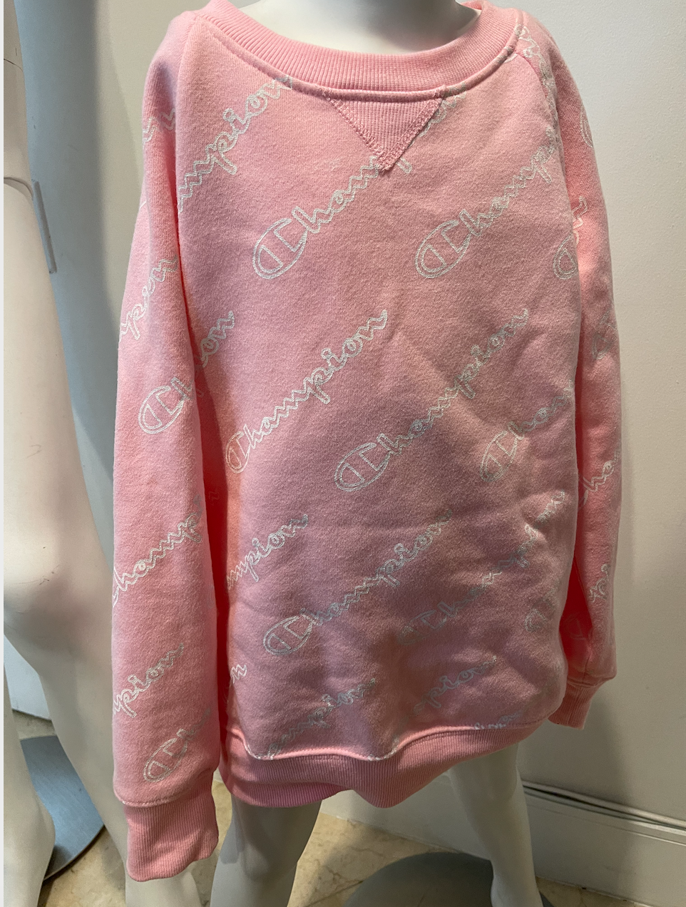 CUTE Champion LOGO Long sleeve SWEATER 