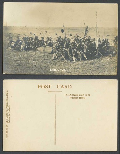 Sudan Old Real Photo Postcard Shilluk Tribe Native Black Warriors Spears Shields - 第 1/1 張圖片