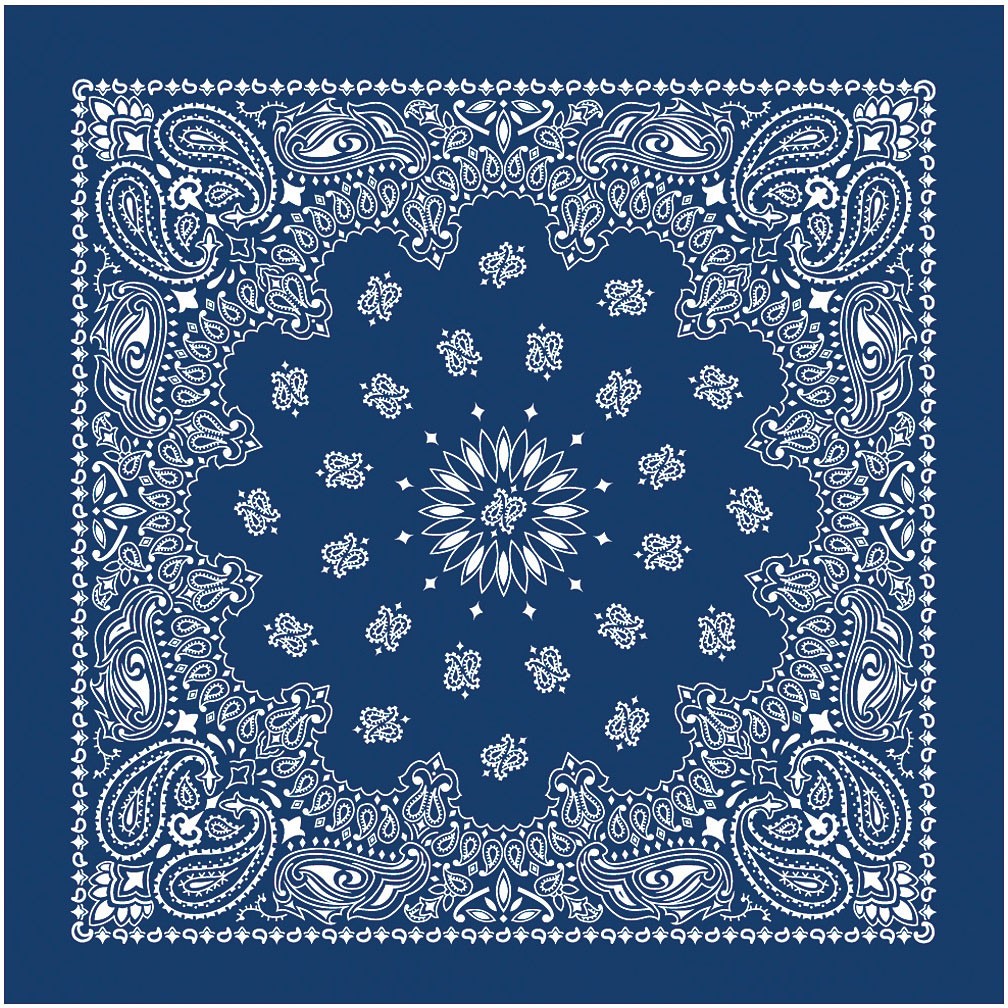 Банданы с узором пейсли Carolina Manufacture USA синего цвета с биркой Hang и UPC - В упаковке 3 штуки