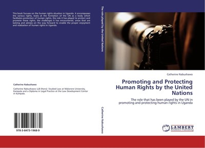 Promoting and Protecting Human Rights by the United Nations | Nabushawo | Buch