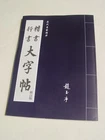 Chinese Calligraphy Writting Brush Ink Art Study Book Running &Regular Script