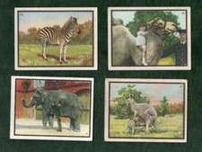 Selection of Chinese cigarette cards CHINA Animals Elephant, Camel, etc etc #555