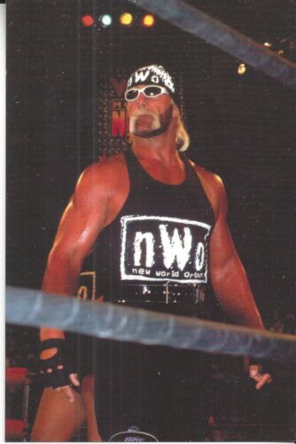 Hollywood Hulk Hogan 1998 Panini WCW/NWO Foto 4X6" #29 - Foto 1 di 1