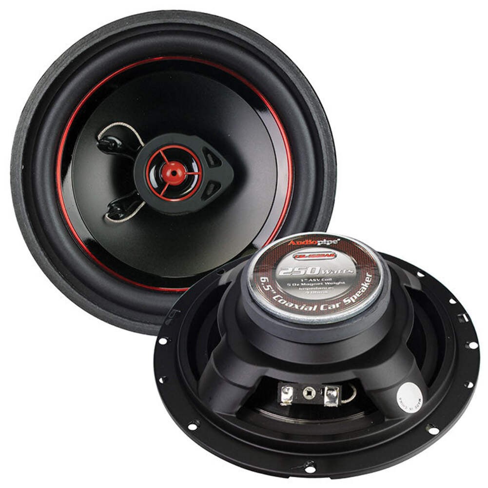 With 250 Watt Power Handling
