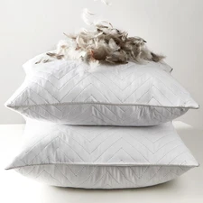 Goose Feathers Throw Pillow Inserts Set of 2, 22x22 Luxurious Corrugated Quil...