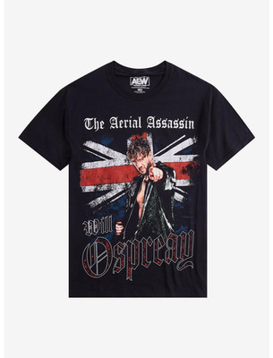 Pro Wrestling Inspired Aerial Assassin Graphic T-Shirt | Unisex Fan Tee