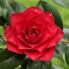 Bild 7 von 10