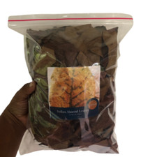 100g Indian Almond Leaves A+ Catappa Ketapang Leaf Shrimp Betta Fish Aquarium Ca