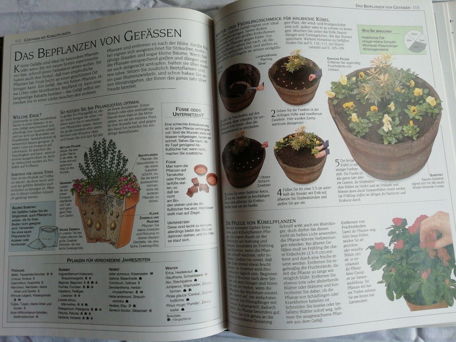 Bild 6 von 6