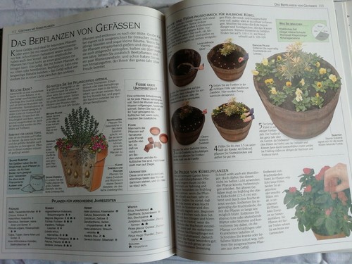 Die neue Gartenschule Greenwood, Pippa: - Bild 6 von 6