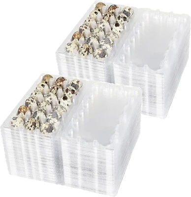 NWAQD Quail Egg Cartons 18 Cell (3x6) 100 pcs - Secure Snap Close, Fast Shipping