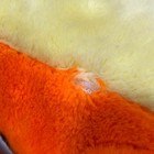 Bild 8 von 10