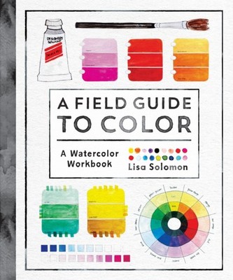 FIELD GUIDE TO COLOR by Lisa Solomon Paperback Self Help Business