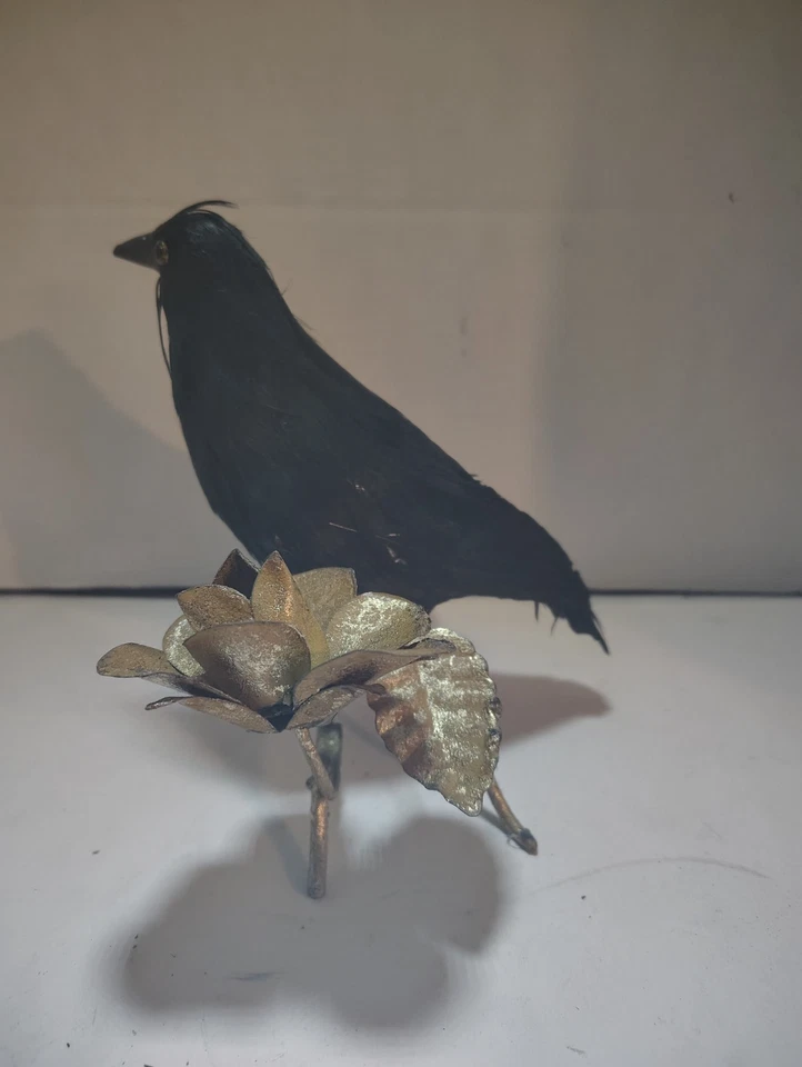 CroOn A Golden Branch Foto 2 de 4