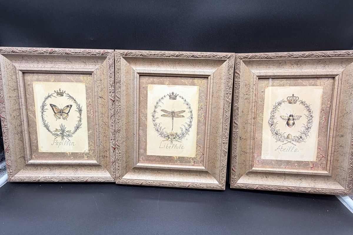 工芸品   / PRETTY LADIES Kathryn Framed Wall Artwork Set Butterfly Dragonfly Bee VTG Kathryn White