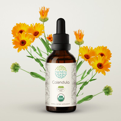 HerbEra Calendula Alcohol-FREE Tincture Organic (Calendula Officinalis)