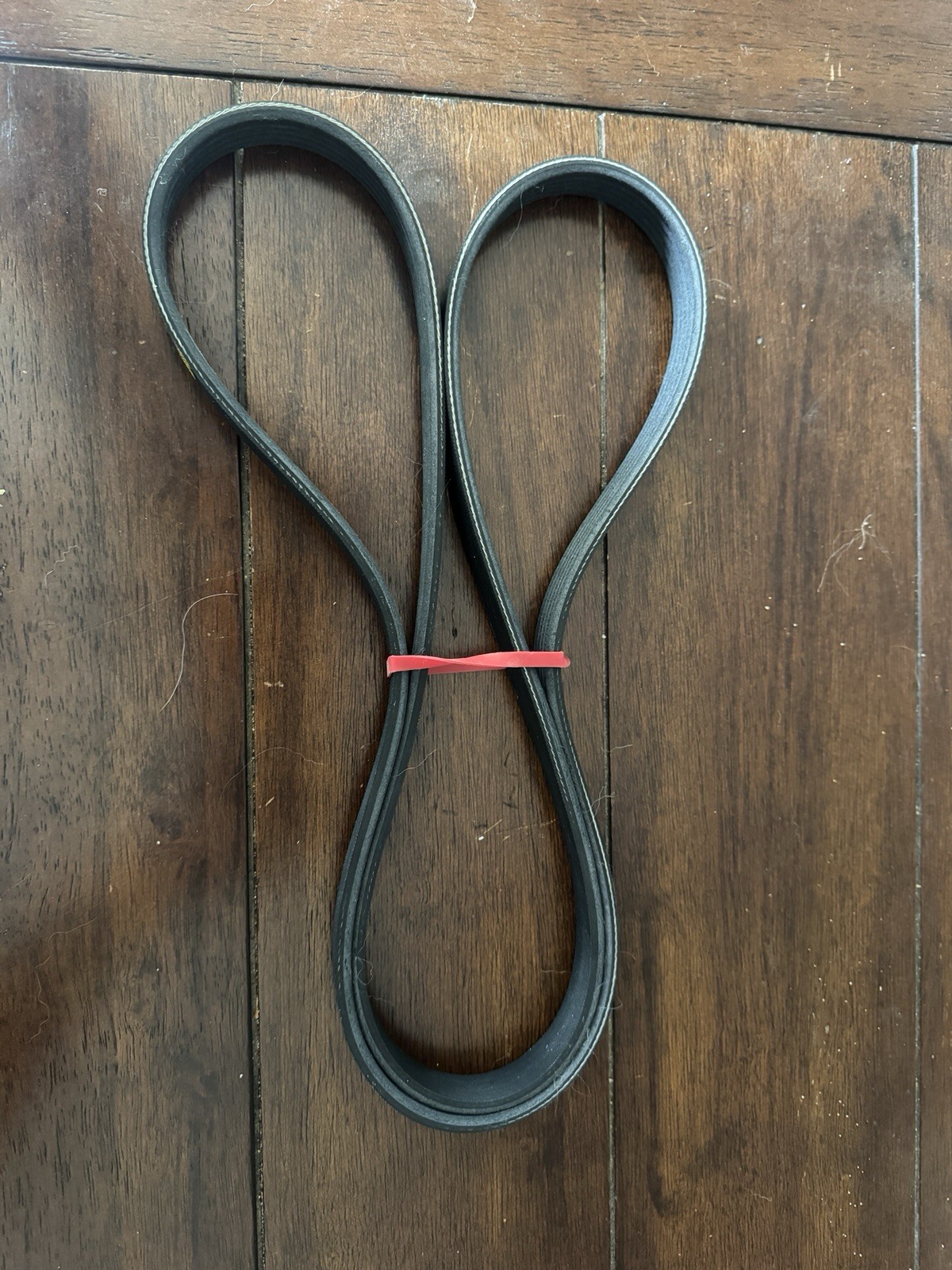 Rolls Royce Drive Belt 11287631816