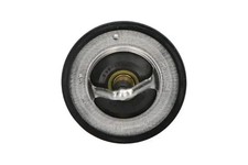 Thermostat Isuzu TROOPER