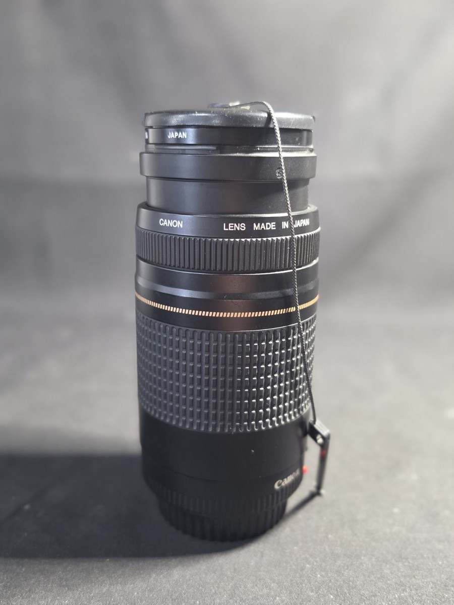 Canon 75-300mm EF 1:4-5.6 III USM Telephoto Zoom Lens Black