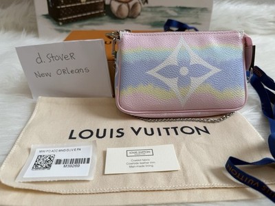 colorful mini lv pouch