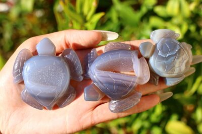 Druzy Agate Sea Turtles Druzy Agate Sea Turtles