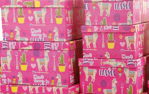 Aufbewahrungsboxen Schachteln Geschenkbox Geschenkschachteln Verpackungen  - Bild 33 von 105