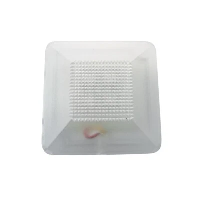 Unitek spia ripetitore ottico multicolore lampeggiante 12/24Vcc - UTKRO504RGBL