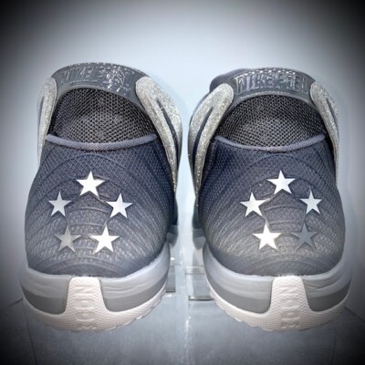Nike Zoom Field General Silver Fade Glitter 654859 011 Men display picture 1