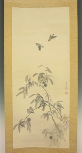 掛軸1967 JAPANESE HANGING SCROLL : MORI KANSAI "Bird on Chestnut Tree" @m290