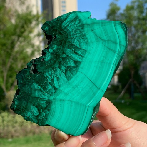 335G Malaquita Natural Brillante Transparente Racimo Muestra Mineral Áspero - Imagen 8 de 19