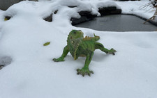 Leguan Deko Figur Eidechse Reptil Echse Teichfigur Garten Länge 60 cm Wand