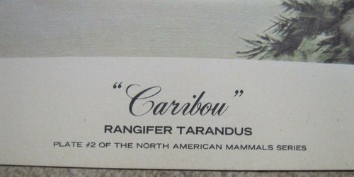 1974 CARIBOU Guy Coheleach signed lithographic print rag paper USA - Picture 5 of 12