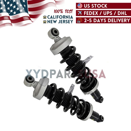 Audi R8 Spyder 2016-2021 Rear Left, right Strut assemblies Pair P/N 4S0512019P Photo - $310