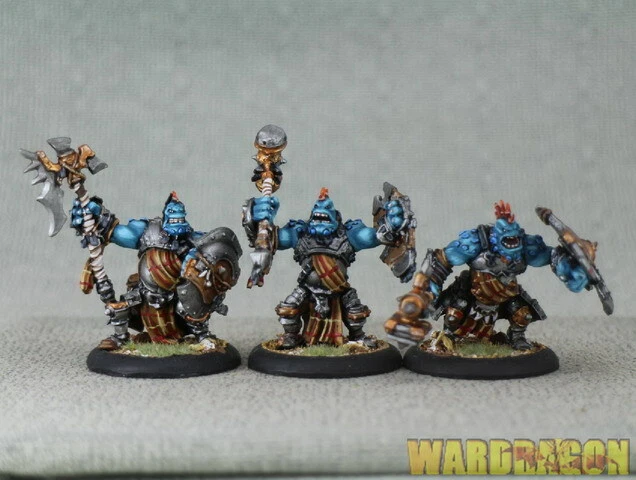 40 mm Hordas WDS pintado Trollbloods Trollkin Warders u51 Foto 2 de 4