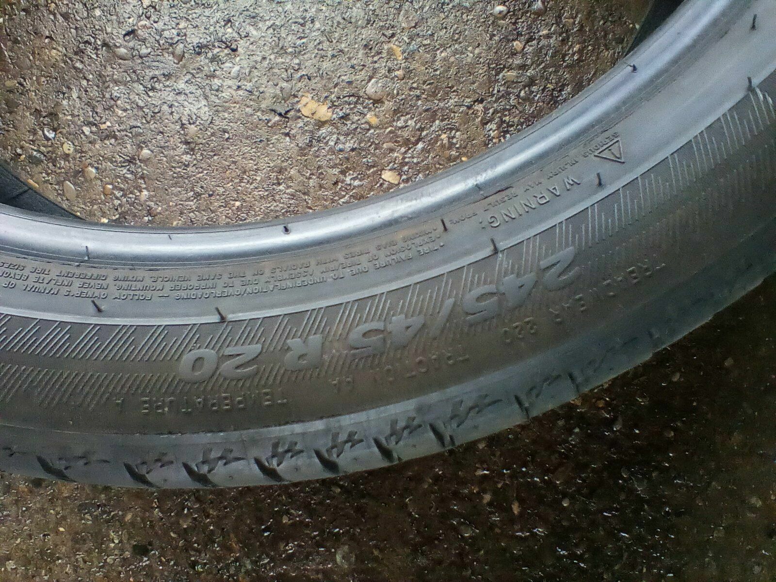 Picture 6 of 6