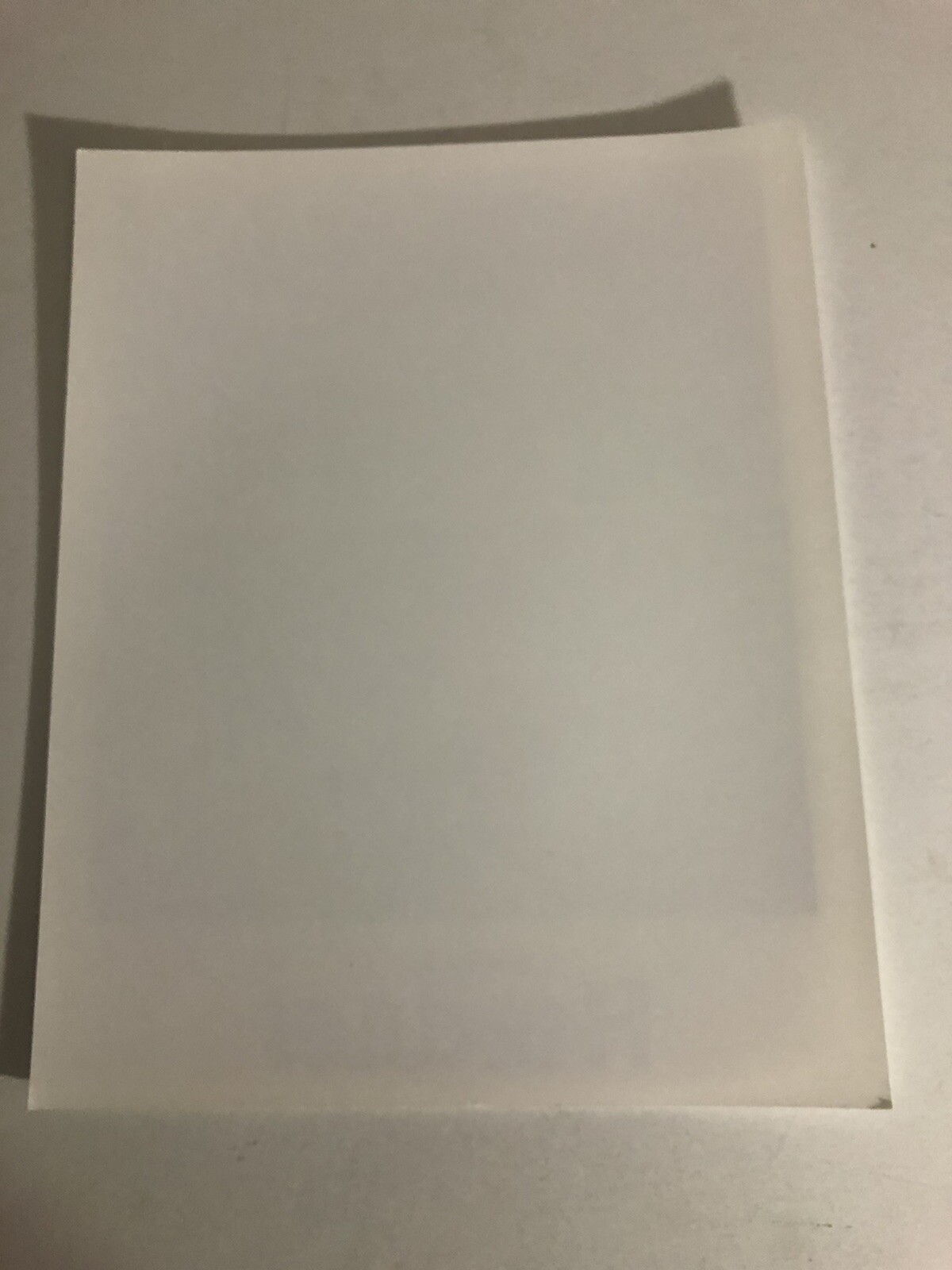 Hercules Walt Disney Cartoon 8x10 Photo Picture