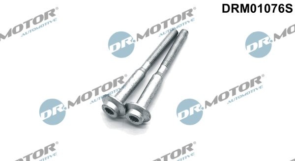 ✅Fits DR.MOTOR DRM01076S INJECTION NOZZLE HOLDER SCREW KIT 2-PCS ⭐UK Seller⭐ - Image 8