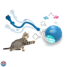 Interactive Cat Toys Ball for Indoor Cats Fast Rolling on Carpet, Chirping  ...