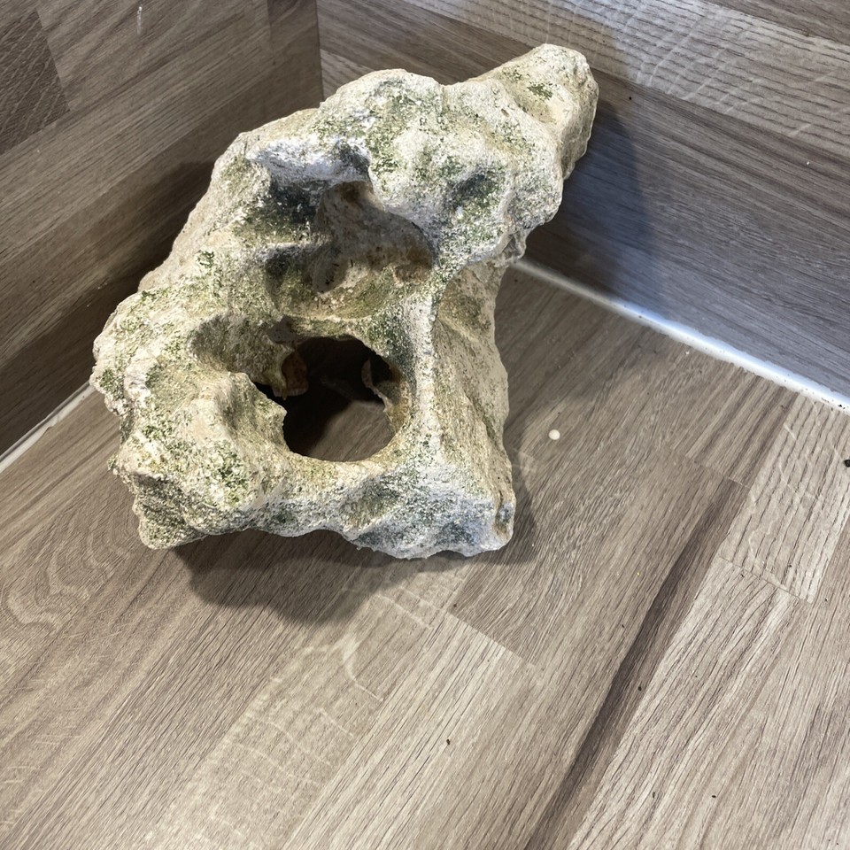 Coral Rock Interesting Large Piece Aquarium Fish Tank Marine Tropical Cold Water eBay