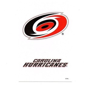 Details About Carolina Hurricanes Nhl New Hockey Team Logo Name Stickers Skinner Ward Staal