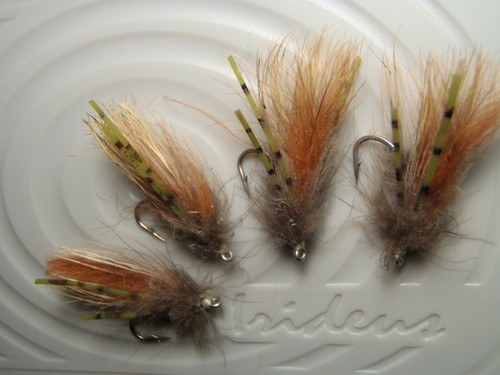 Irideus dry stonefly The Bug salmon fly leg trout fly fishing steelhead float - Picture 4 of 4
