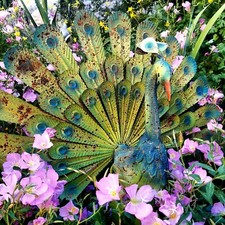 Rusic Metal Garden Peacock Statue