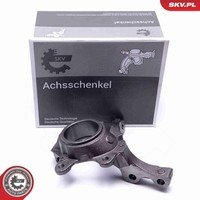 Esen SKV Achsschenkel RadaufhäNgung 47SKV452 FüR Renault Kangoo FC0 KC0 Megane 1