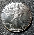 1999-P US SILVER AMERICAN EAGLE SAE 1 Oz 0.999 Silver MS Coin - Toned !!!