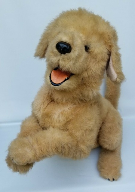 biscuit my lovin pup