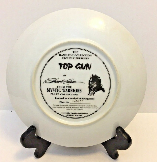 Hamilton Collection Top Gun Mystic Warriors Plate Collection 1992 8 1/4