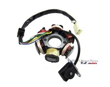 Chinese Stator Magneto 6 Coil For 50cc 110cc 125cc Scooter Moped TaoTao Sunl ATV